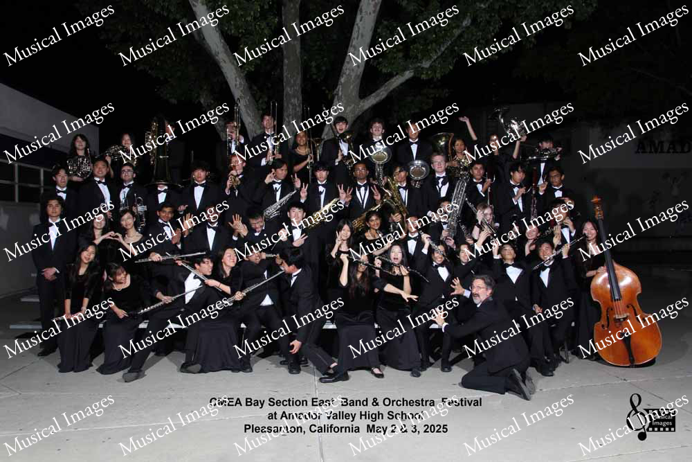 Musical Images